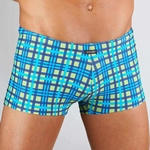 Body Art sale loutra, geruite zwemshort in groenblauw XL